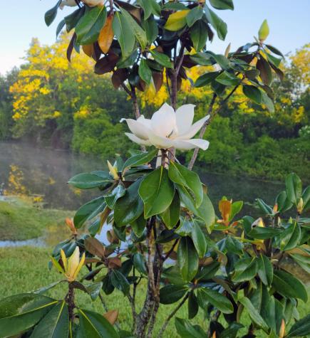 9 James Street Belfast ME 04915