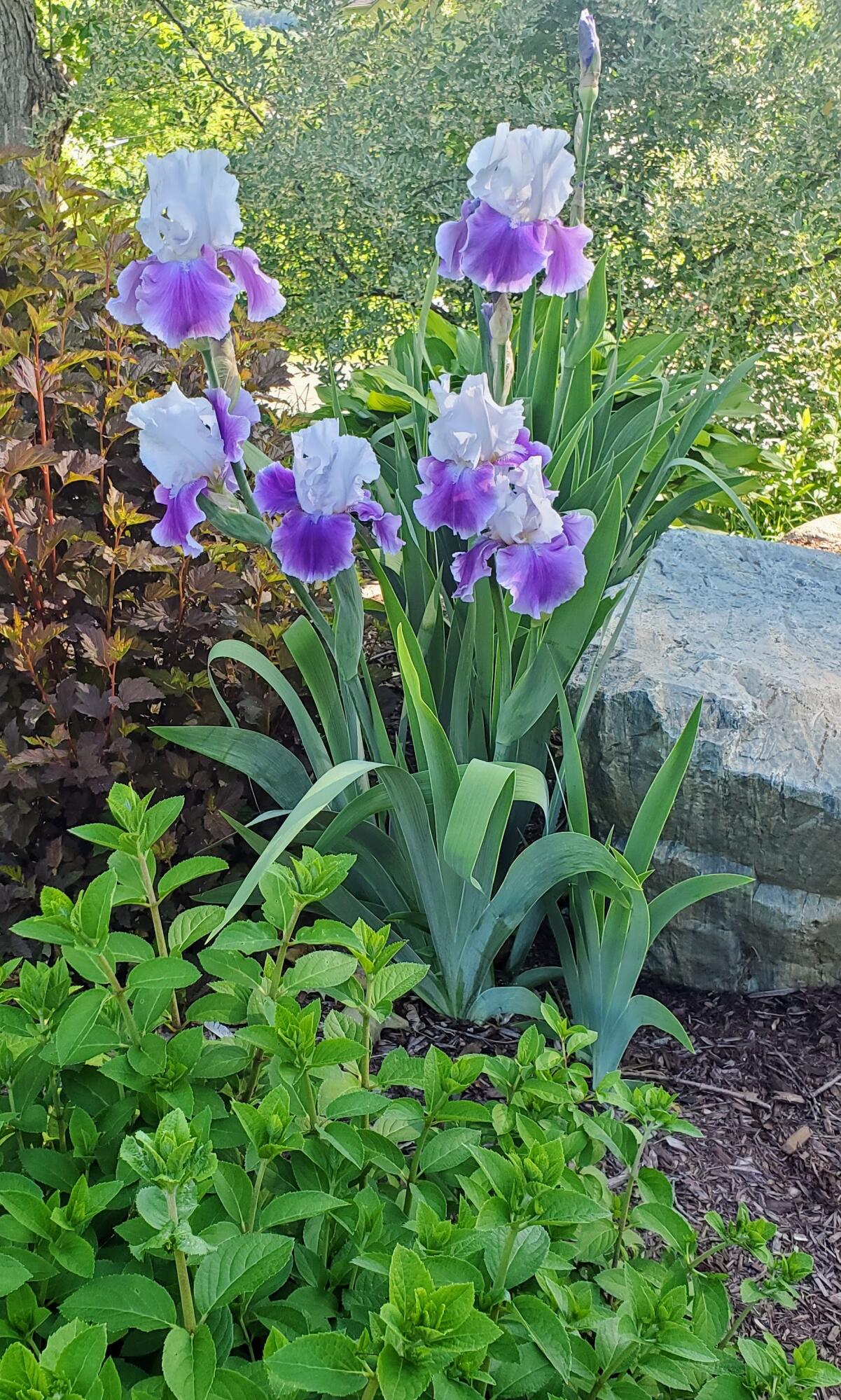 9 James Street Belfast ME 04915