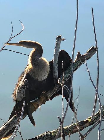 9 James Street Belfast ME 04915