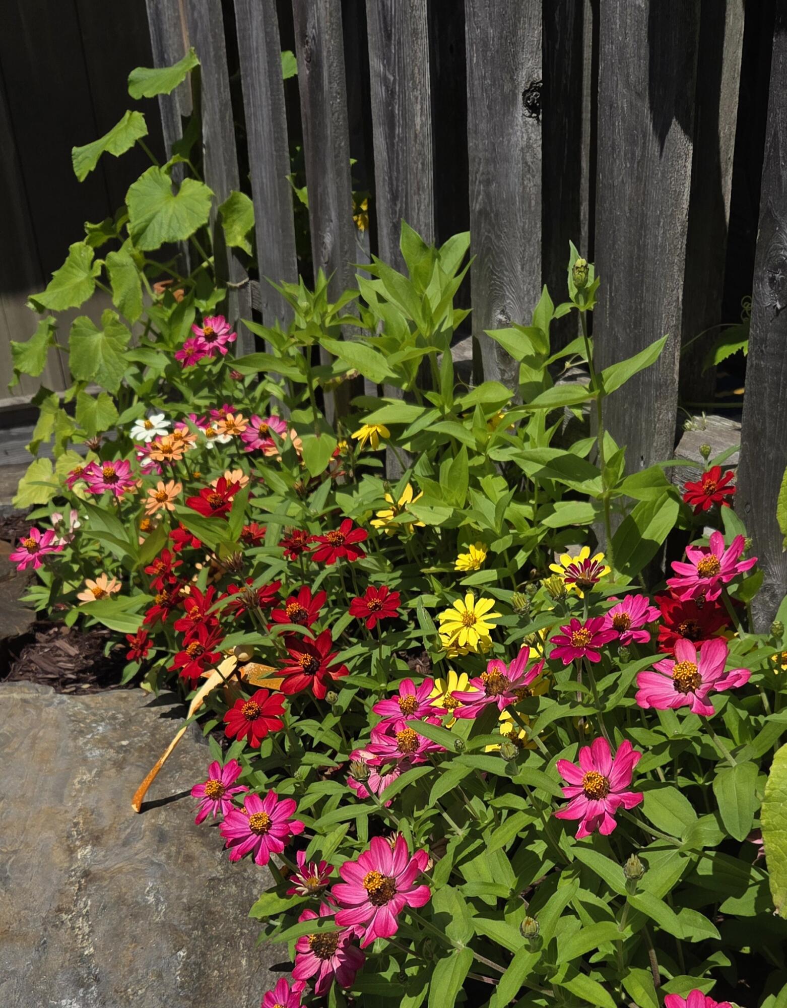 9 James Street Belfast ME 04915