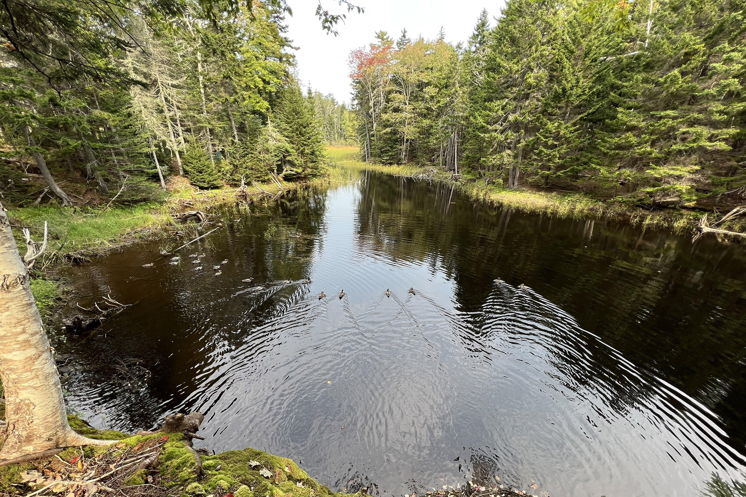 44 King Phillips Trail Boothbay ME 04544