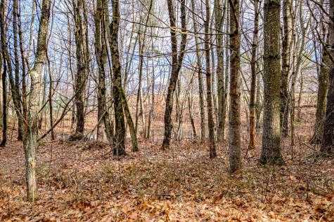 66 Mayville Road Bethel ME 04217