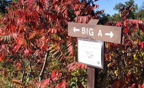 3 County Road York ME 03902