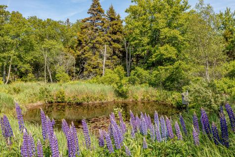 161 North Road Matinicus Isle Plt ME 04851