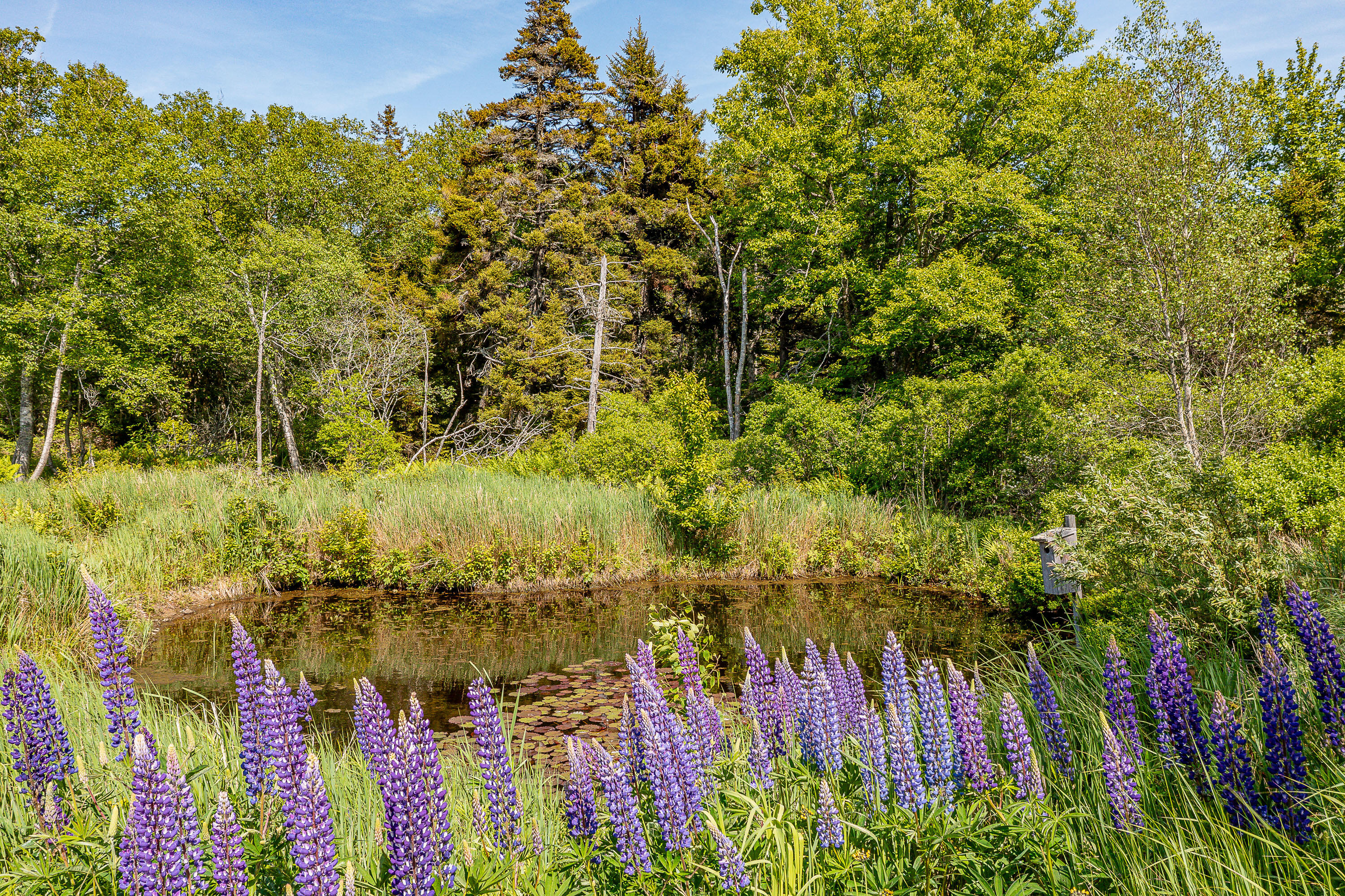 161 North Road Matinicus Isle Plt ME 04851