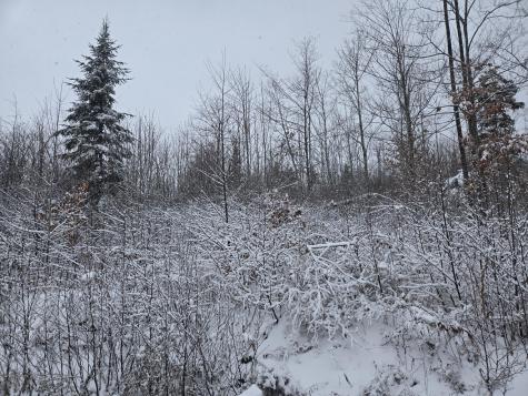 221 Brown Road Oakfield ME 04763