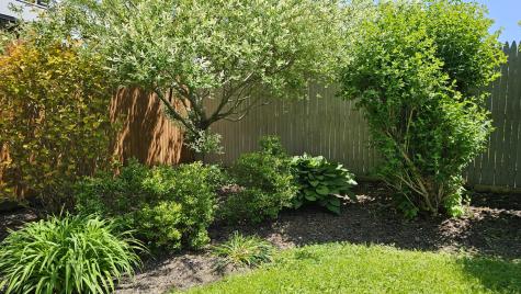 269 Lincoln Street Bangor ME 04401