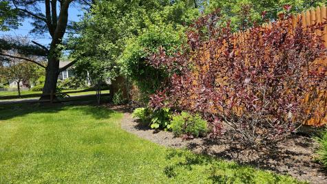 269 Lincoln Street Bangor ME 04401