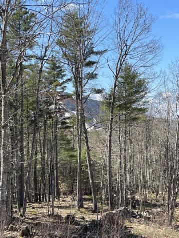 272 Sam Ingalls Road Bridgton ME 04009