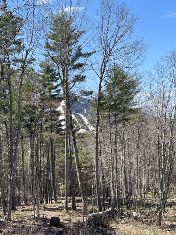 272 Sam Ingalls Road Bridgton ME 04009