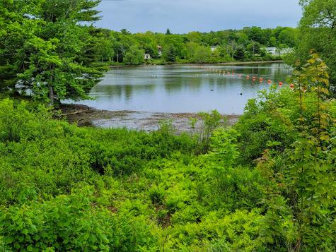 93 Grant Street Ellsworth ME 04605