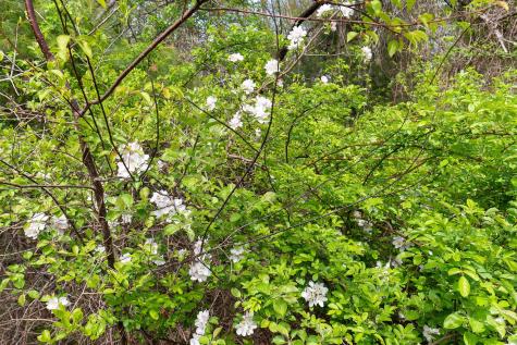 87 Anna Robert Circle Wells ME 04090