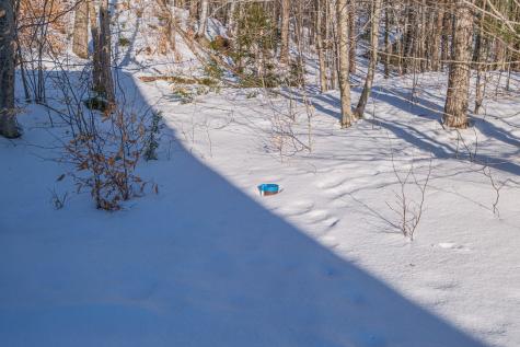 59 Douglass Road Newry ME 04261