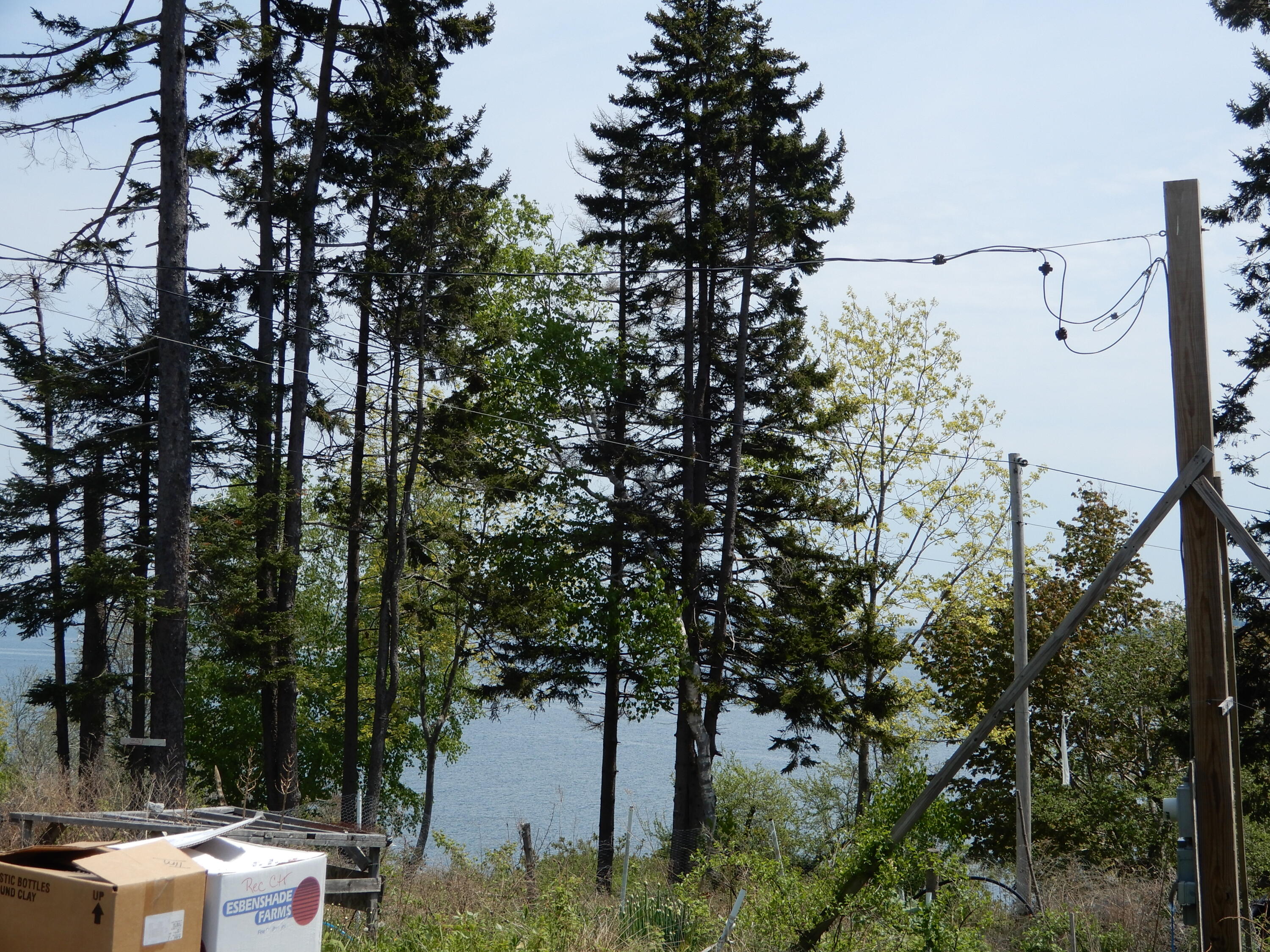 14 Proctor Drive Chebeague Island ME 04017