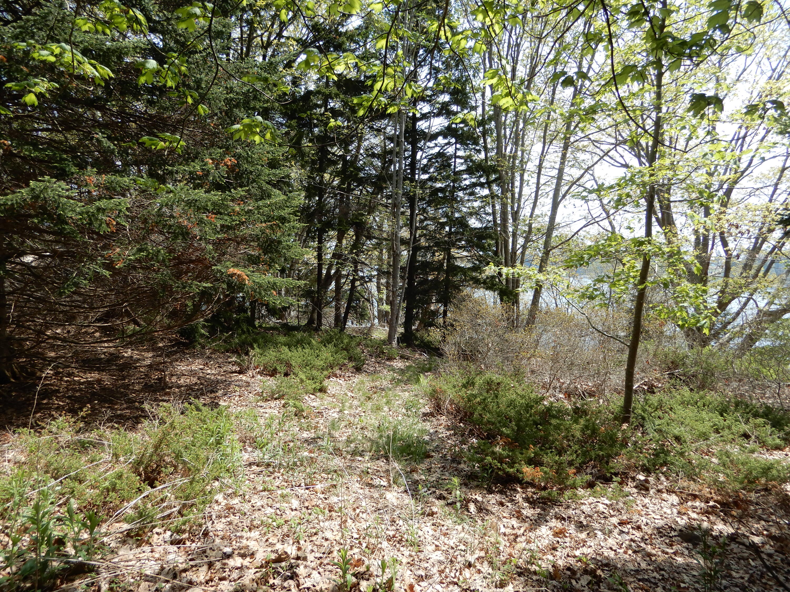 14 Proctor Drive Chebeague Island ME 04017