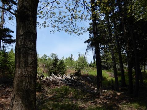 14 Proctor Drive Chebeague Island ME 04017