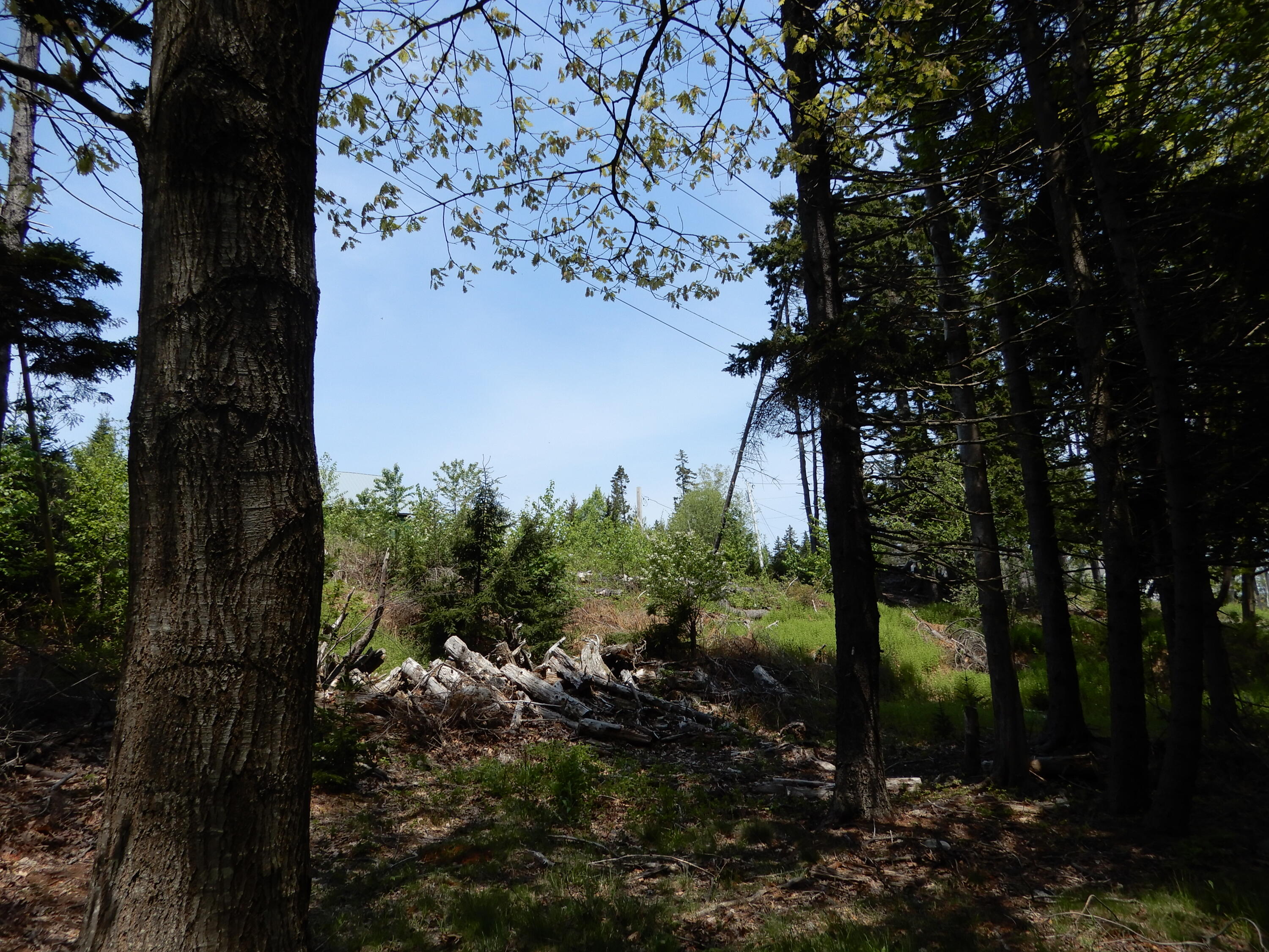 14 Proctor Drive Chebeague Island ME 04017