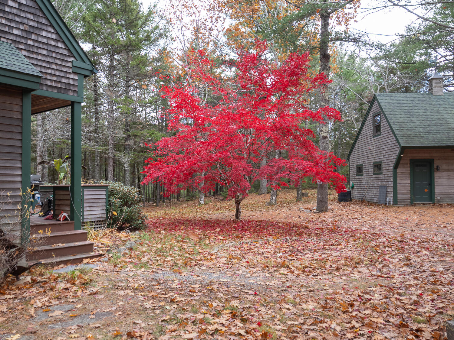 245 Norway Drive Bar Harbor ME 04609