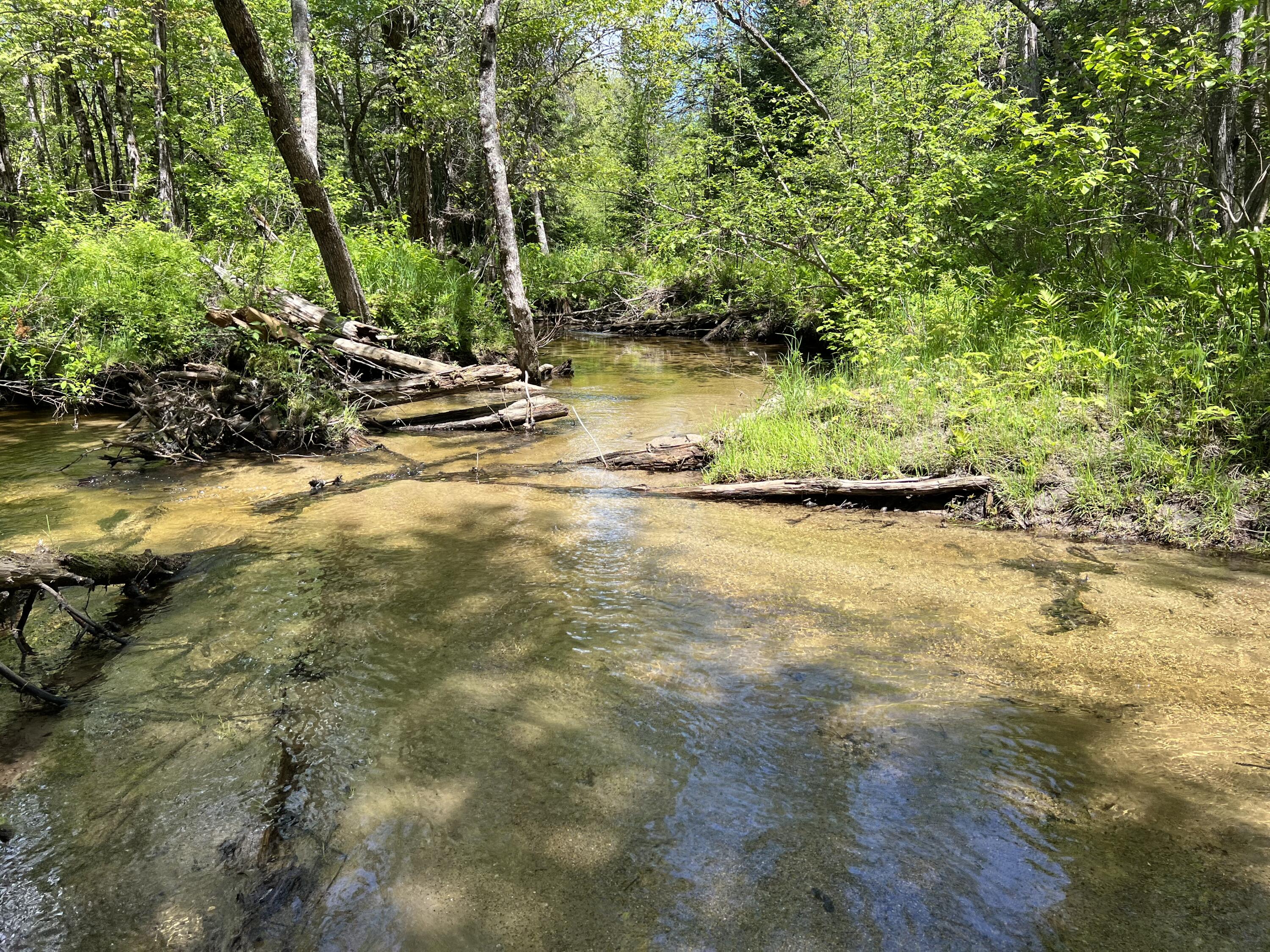 Lot A Goodwin Road Carthage ME 04224
