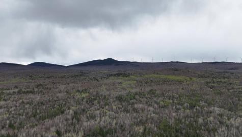 Lot A Goodwin Road Carthage ME 04224