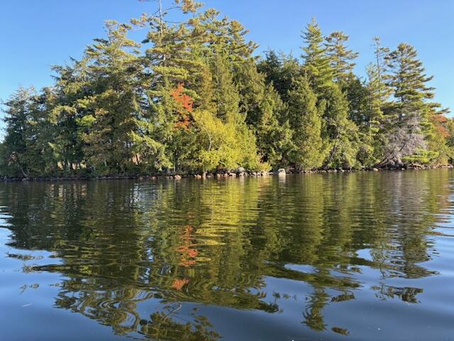 M16 L16a Walters Island Sidney ME 04330