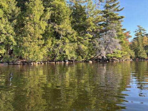 M16 L16a Walters Island Sidney ME 04330