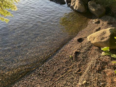 M16 L16a Walters Island Sidney ME 04330