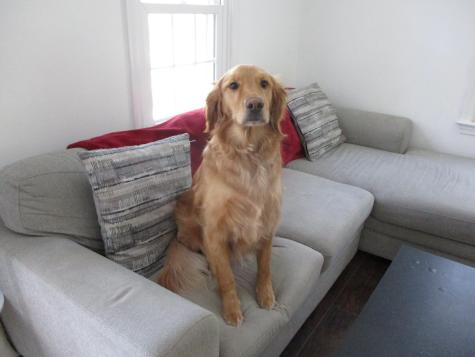 776 Cape Road Hollis ME 04042