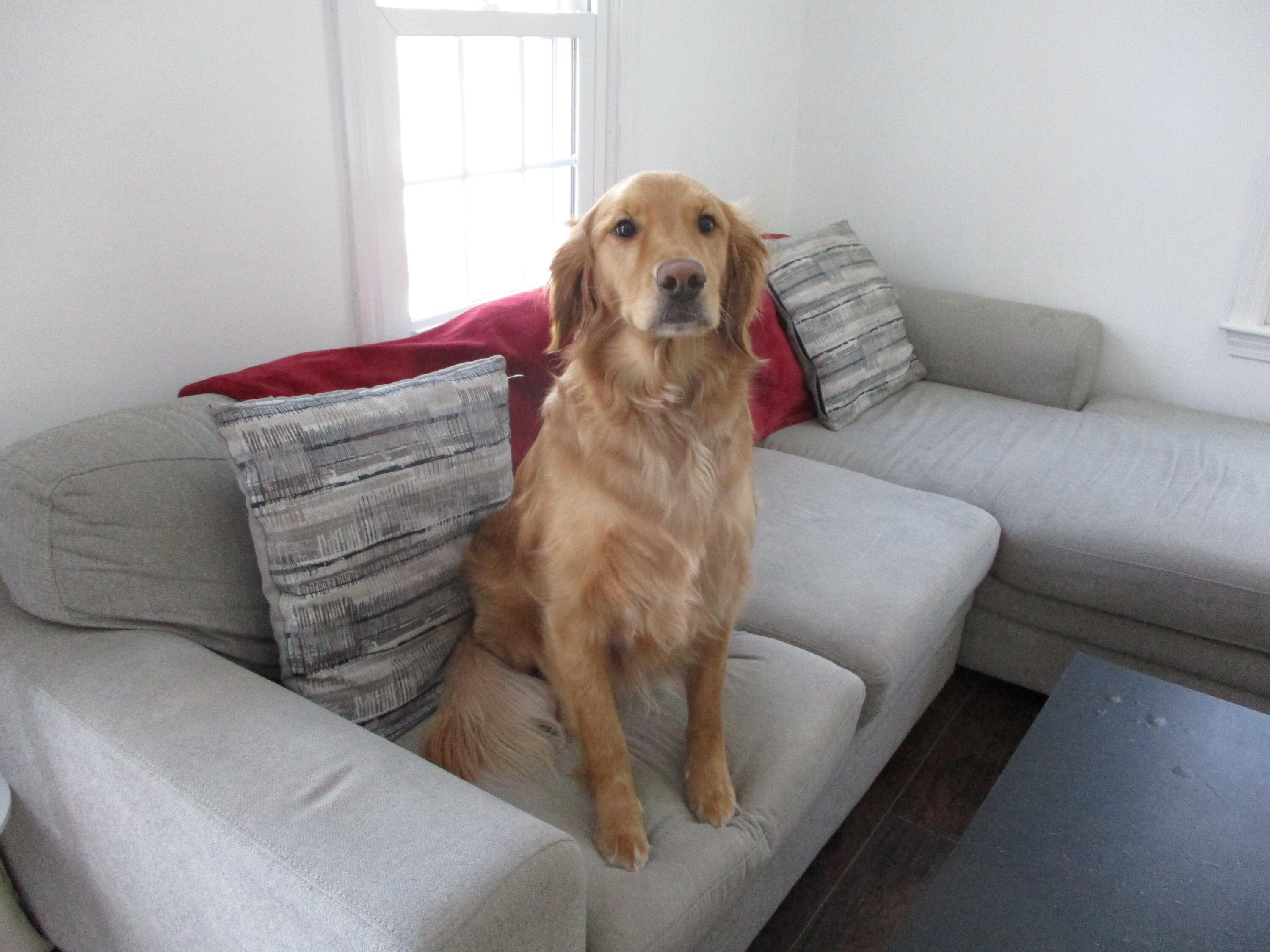 776 Cape Road Hollis ME 04042