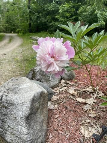 776 Cape Road Hollis ME 04042