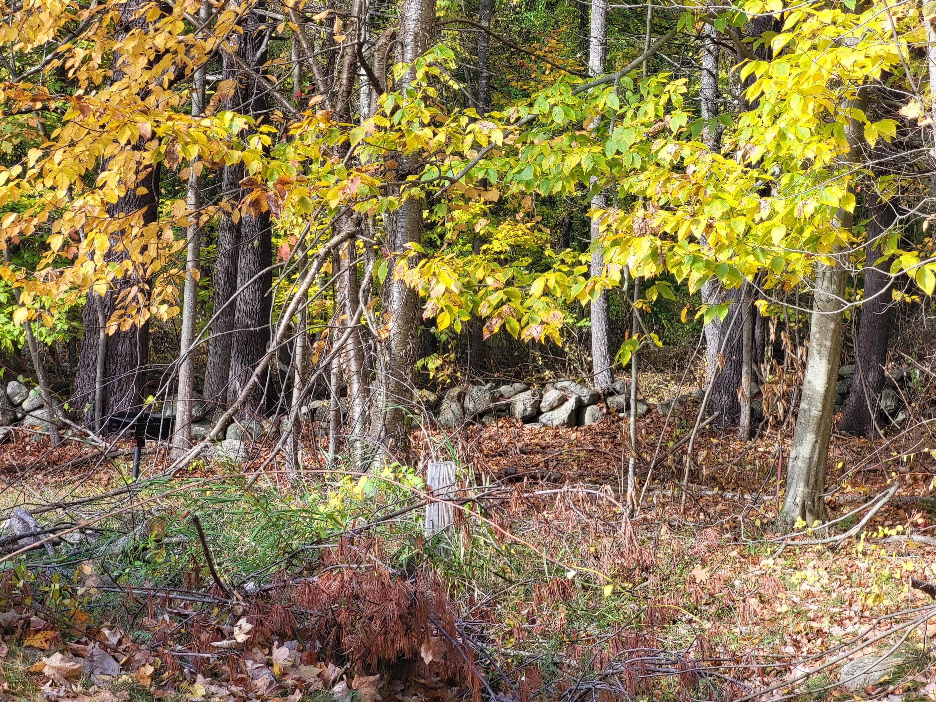 144 W Main Street Greene ME 04236