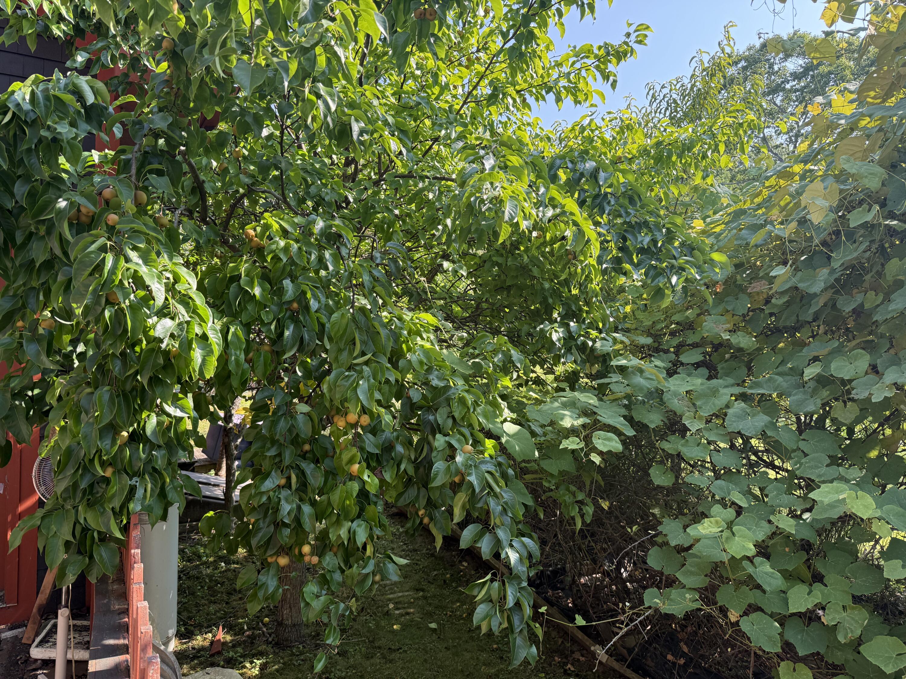 364 & 367 Main Road Islesboro ME 04848