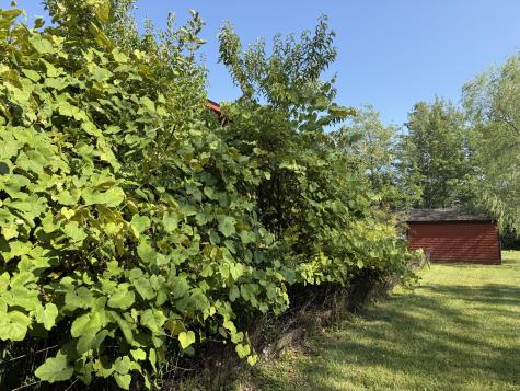 364 & 367 Main Road Islesboro ME 04848