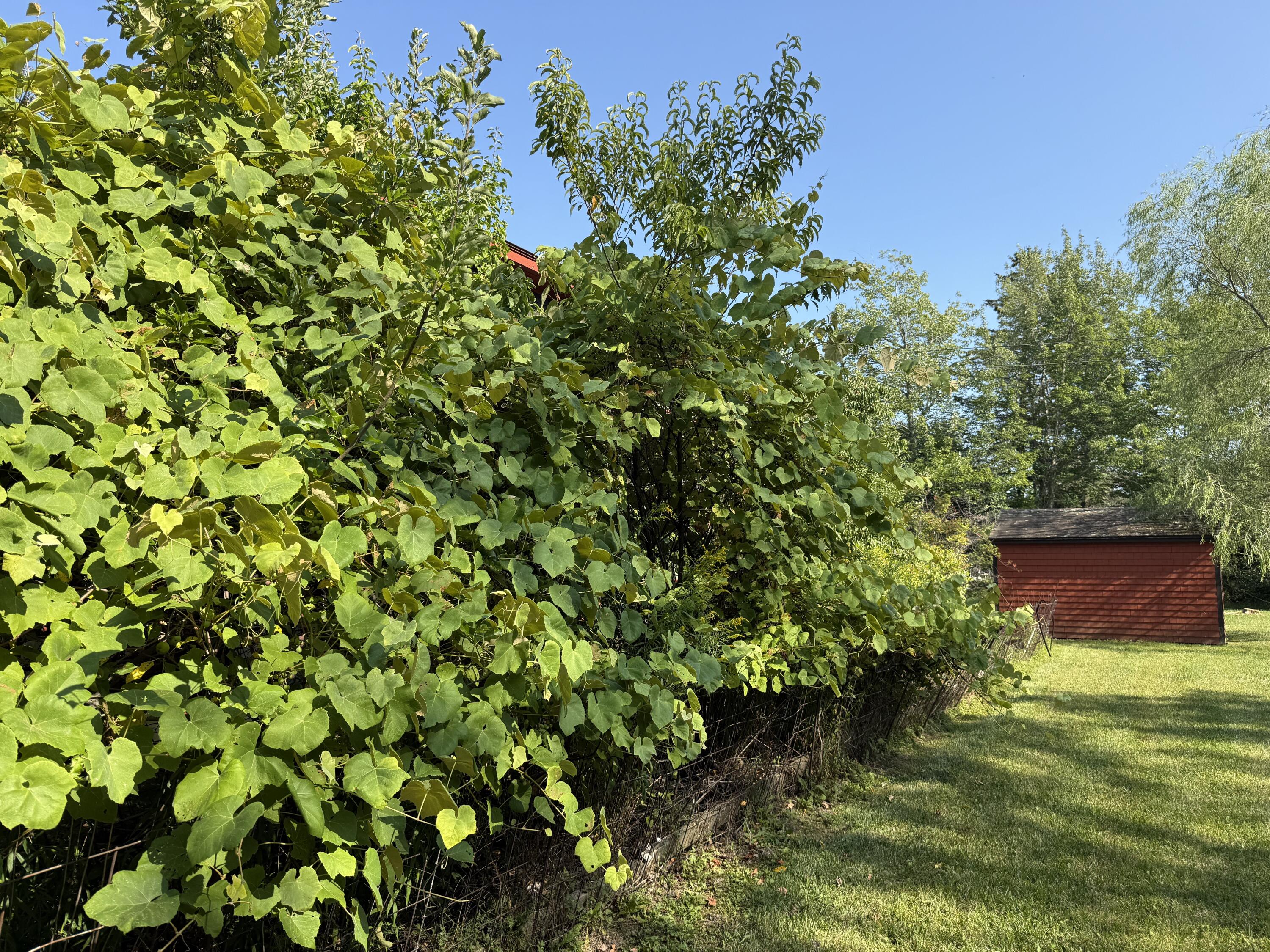 364 & 367 Main Road Islesboro ME 04848