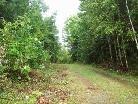 38 Andrews Road Drew Plt ME 04497