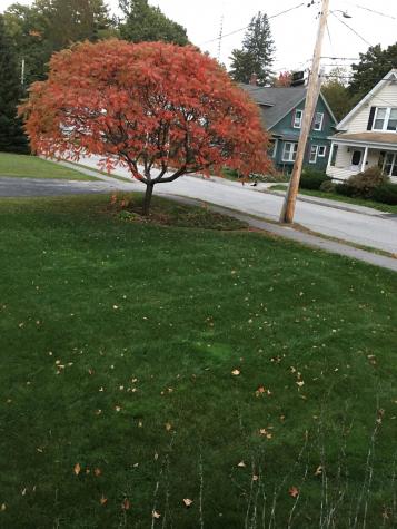 14 Linden Street Auburn ME 04210