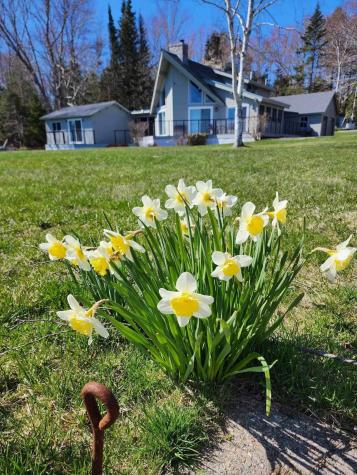 55 Narrows Way Lamoine ME 04605