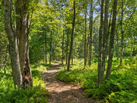 38 Osprey Reach Road Stockton Springs ME 04981