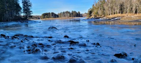 45 Missy Way Steuben ME 04680