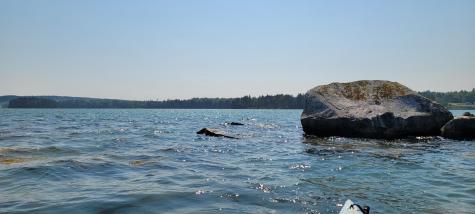 45 Missy Way Steuben ME 04680