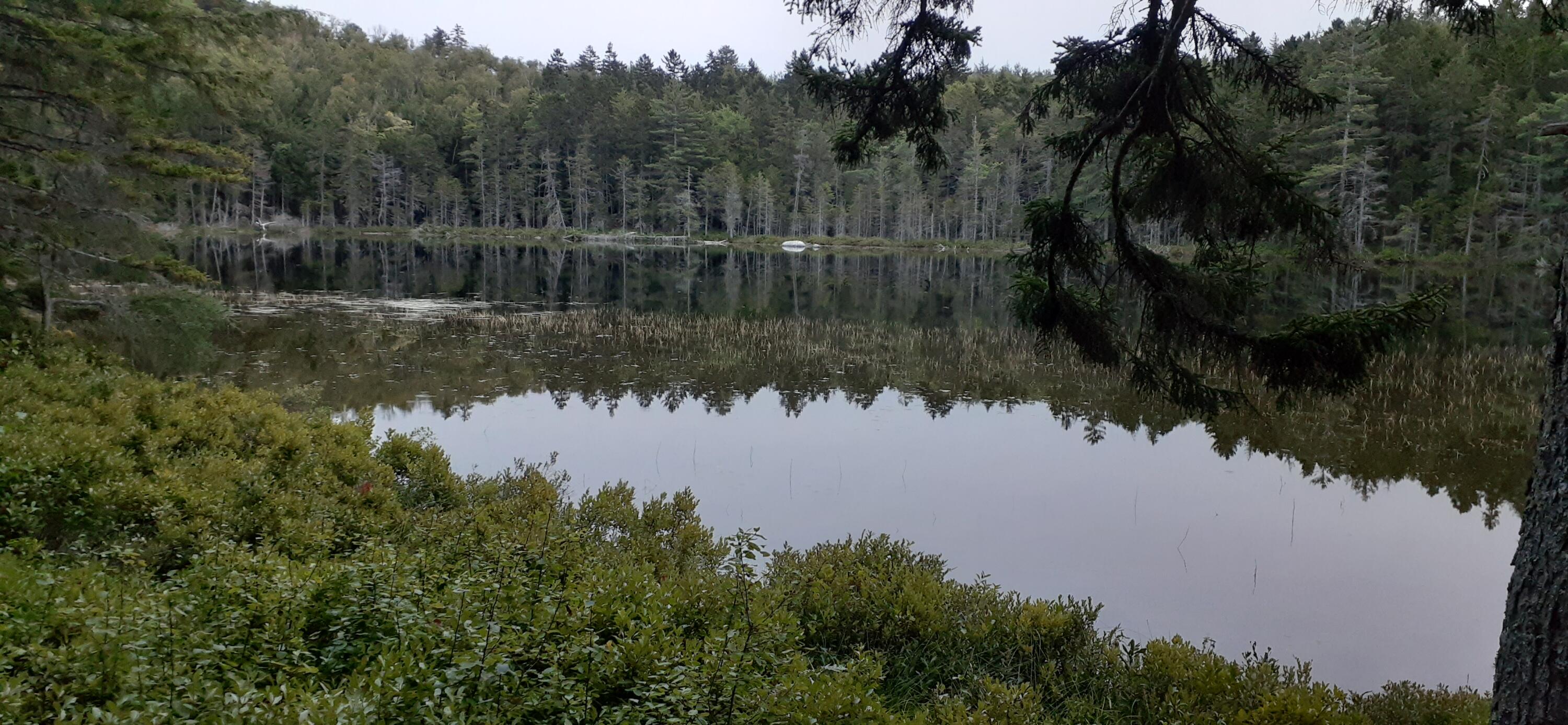 Tbd Trout Pond Road Amherst ME 04605