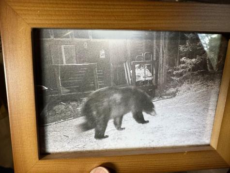 Lot 1 Off Bear Brook Road T25 Md Bpp ME 04686