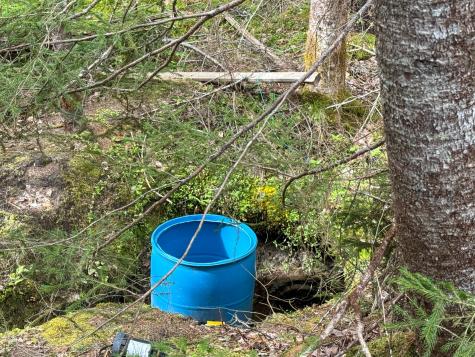 Lot 1 Off Bear Brook Road T25 Md Bpp ME 04686