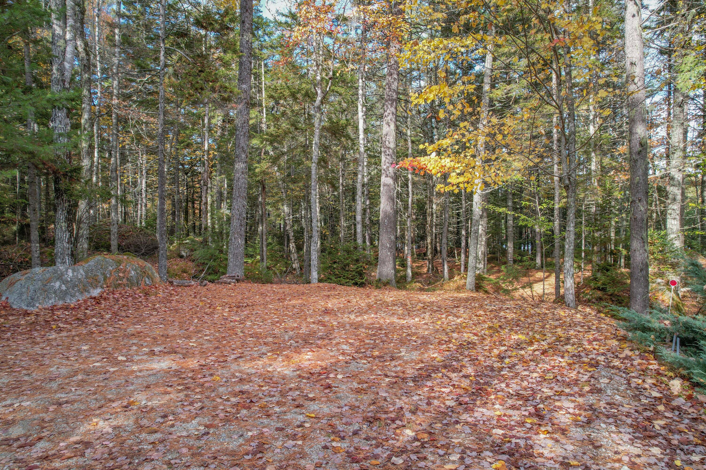 155 Long Point Way Orland ME 04472