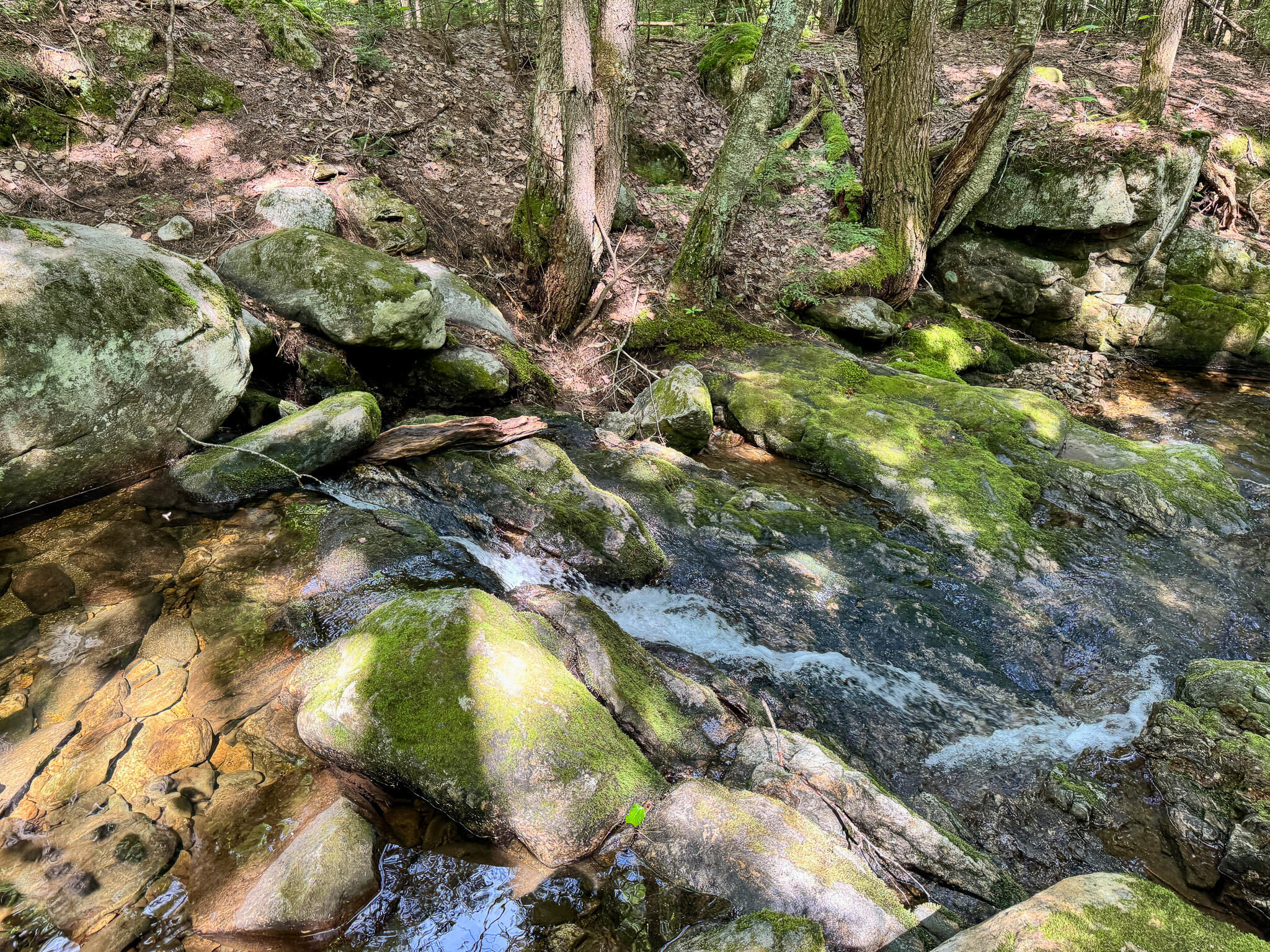 M1L1 Hanscom Road Weld ME 04285