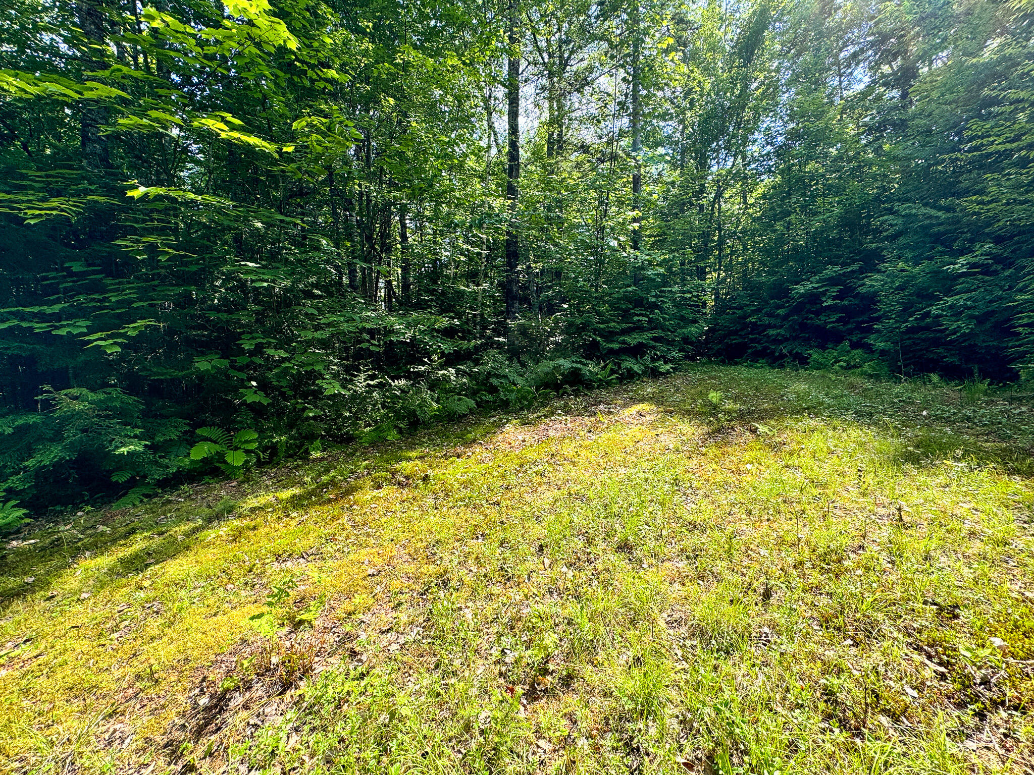 M1L1 Hanscom Road Weld ME 04285