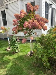 27 Nubble Road York ME 03909