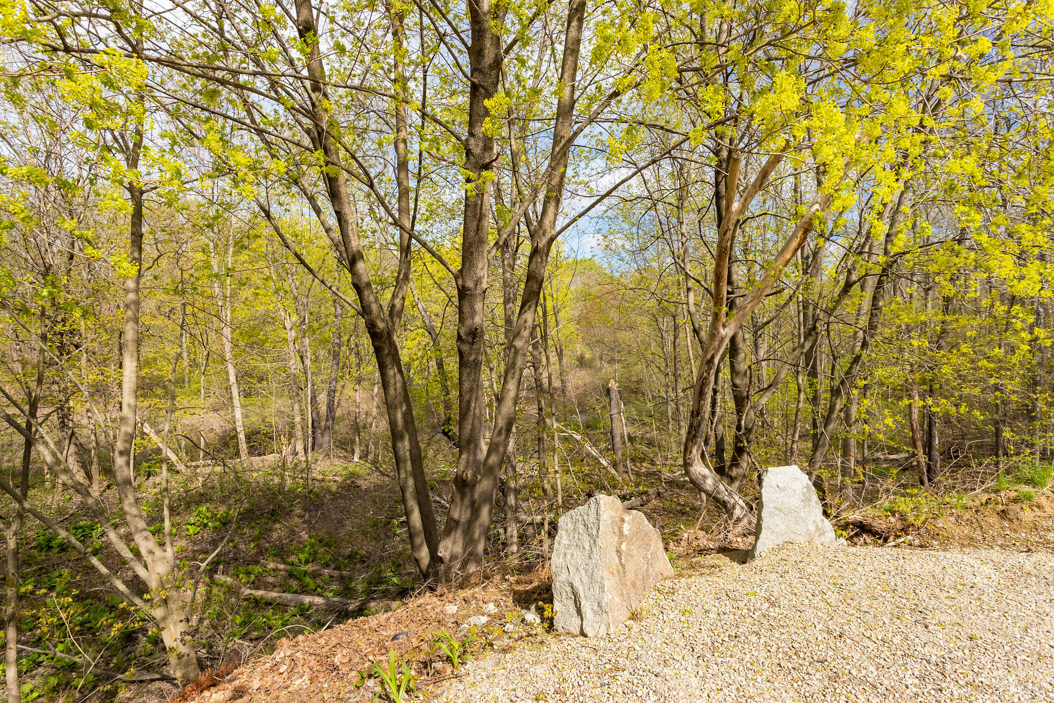 10 Woodcock Lane North Berwick ME 03906