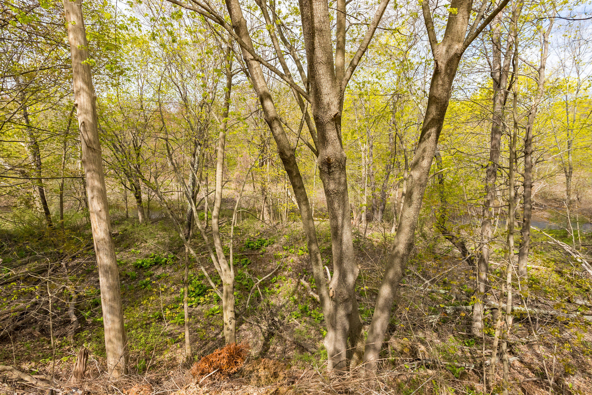 10 Woodcock Lane North Berwick ME 03906