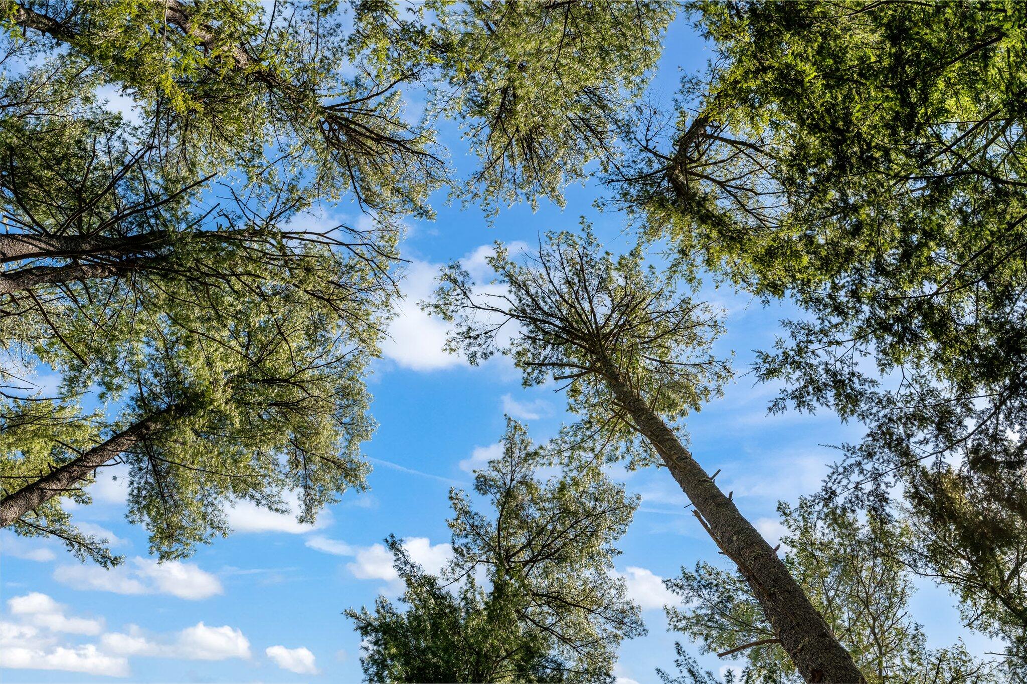 112 & 113 Holmes Road Augusta ME 04330